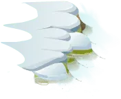 White Clouds - High Quality PNG