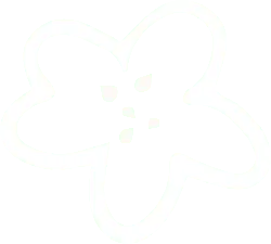 Clover - pattern - lucky - PNG