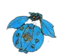 Blue Butterfly - wings - pattern - PNG Images