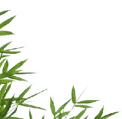 Bamboo Leaves - leaves - Recommended PNG
