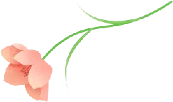 Pink Flower - Highly Rated PNG - plant