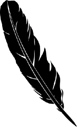 Feather - lightweight - PNG