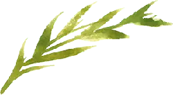 Water Plant - Free PNG