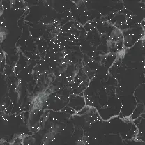 Marble Texture - High Download Count PNG