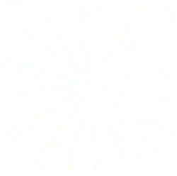 Radiant Pattern - geometric - black and white - PNG
