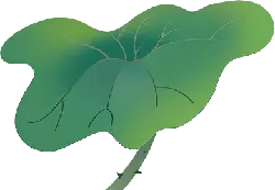 Lotus Leaf - lotus - Transparent Layer PNG