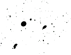 Black Owl - owl - No Watermark PNG - Pic 3