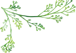 Green Branch - green - High Resolution PNG