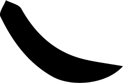 Black Cat - High Resolution PNG - cat - Pic 75