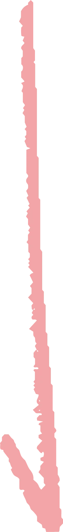 Pink Abstract Shape - shape - No Watermark PNG