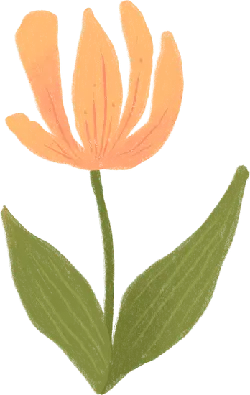 Lily - stem - green - Free PNG