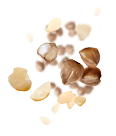 Peanut - snack - Transparent Layer PNG