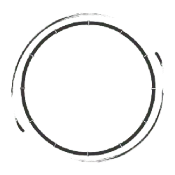 Apple Logo - logo - Transparent Layer PNG
