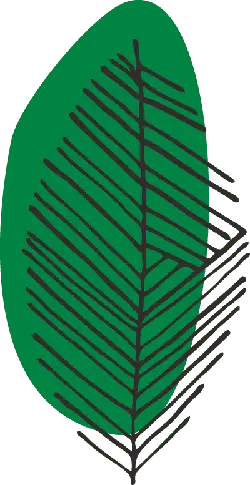 Leaf - green - Curated PNG