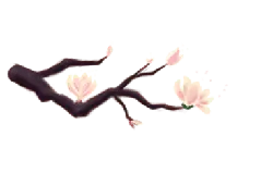 Pink Flower Branch - nature - No Background PNG