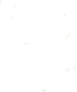 Petals Falling - peaceful - petal - No Background PNG