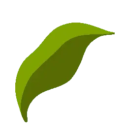 Leaf - plant - environmental protection - Transparent Layer PNG