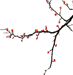 Butterfly - Free Download PNG - colorful