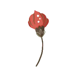 Red Flower - nature - Transparent Background PNG