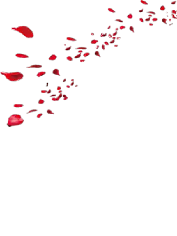 Red Petals Falling - Highly Rated PNG