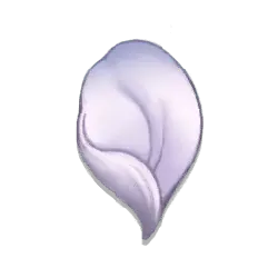 Shell - smooth - PNG