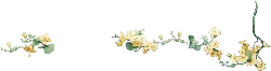 Yellow Flower Vine - plant - High Resolution PNG