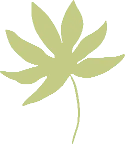Yellow Leaf - leaf - plant - Free Download PNG