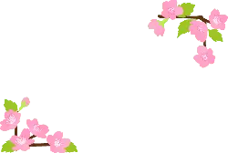 Cherry Blossoms - flowers - Free Download PNG