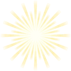 Sunflower - sun - nature - Lossless PNG