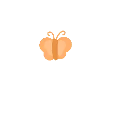 Butterfly - Curated PNG - No Watermark PNG