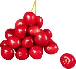 Cherry - juicy - red - No Background PNG