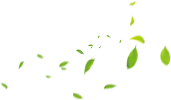 Falling Leaves - green - Designer Recommended PNG