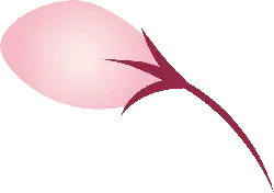 Cherry Blossom Petal - spring - Free Download PNG