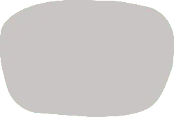Gray Irregular Shape - irregular - No Watermark PNG