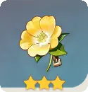 Yellow Flower - growth - beautiful - No Background PNG