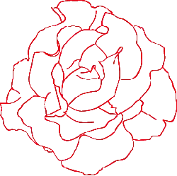 Rose - red - artwork - Free PNG