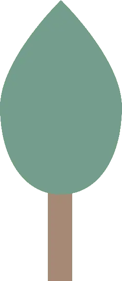 Tree - growth - High Download Count PNG