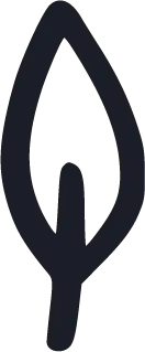 Leaf - Free Download PNG - Recommended PNG