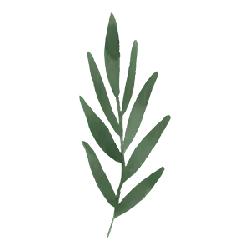 Watercolor Leaf - painting - Designer Recommended PNG