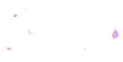 Pink Petals - High Download Count PNG - No Background PNG