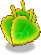 Clover - cartoon - green - Free PNG