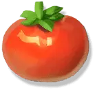 Tomato - circle - smooth - PNG