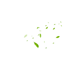 Falling Leaves - nature - falling - High Resolution PNG