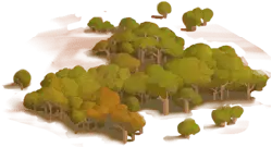 Forest Landscape - serene - Transparent Background PNG