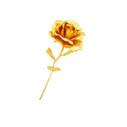 Yellow Rose - No Background PNG - rose