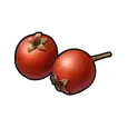 Tomato - eatable - Lossless PNG