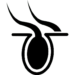 Black Owl - night hunter - Curated PNG - Pic 2
