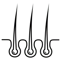 Black Owl - night - Transparent Background PNG - Pic 1