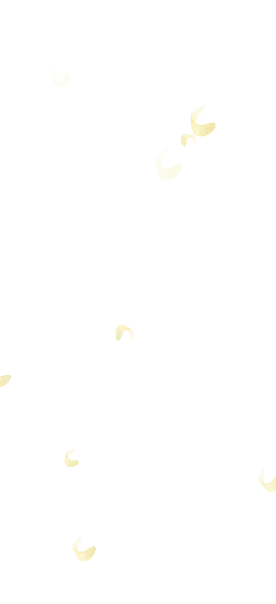 Falling Leaves - peaceful - High Quality PNG