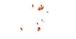 Petals Falling - autumn - Free Download PNG